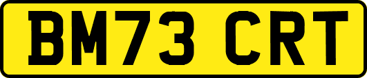 BM73CRT
