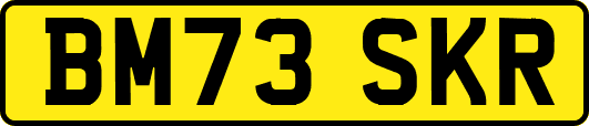 BM73SKR