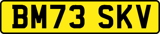 BM73SKV