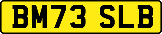 BM73SLB