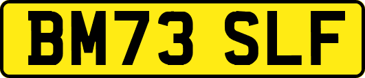 BM73SLF