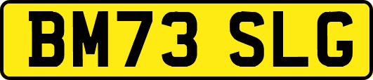 BM73SLG