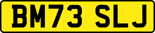BM73SLJ