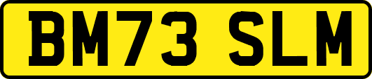 BM73SLM