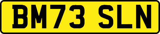 BM73SLN