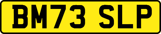 BM73SLP