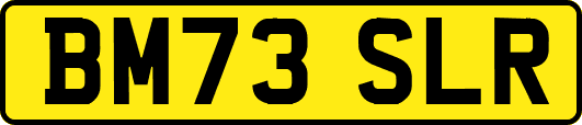 BM73SLR