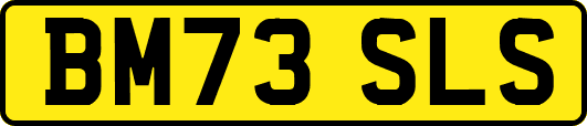 BM73SLS