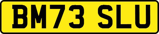 BM73SLU
