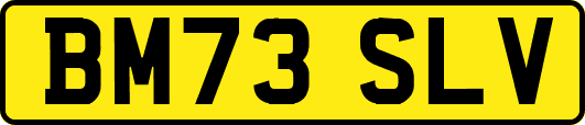 BM73SLV
