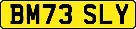 BM73SLY
