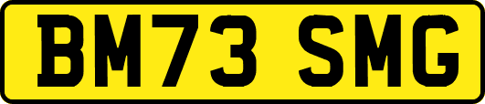 BM73SMG
