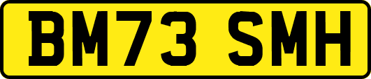BM73SMH