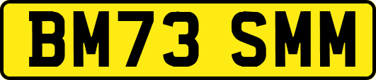 BM73SMM
