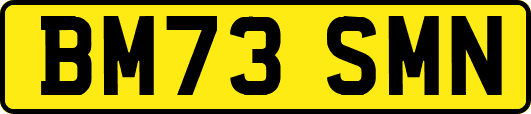 BM73SMN