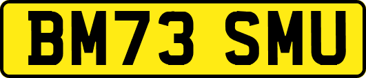 BM73SMU