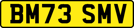 BM73SMV