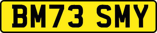 BM73SMY