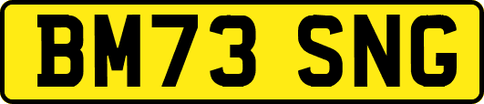 BM73SNG
