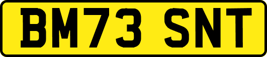 BM73SNT