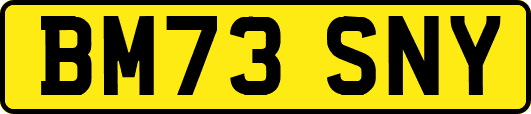 BM73SNY