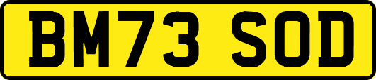 BM73SOD