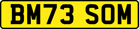 BM73SOM