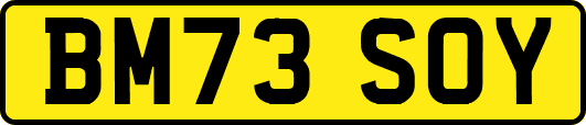 BM73SOY