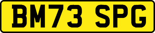 BM73SPG