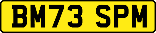 BM73SPM