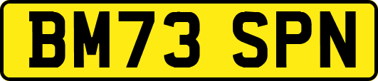 BM73SPN