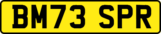 BM73SPR