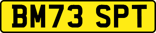 BM73SPT