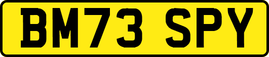 BM73SPY