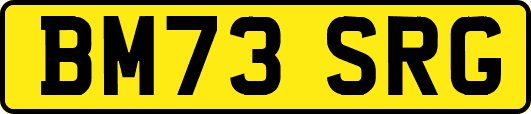 BM73SRG