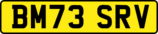 BM73SRV