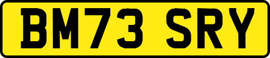 BM73SRY