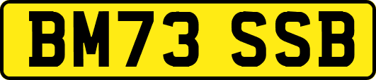 BM73SSB