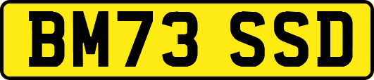 BM73SSD