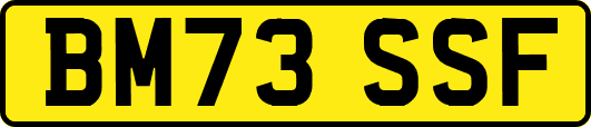 BM73SSF