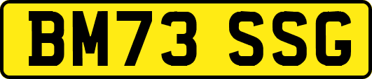 BM73SSG