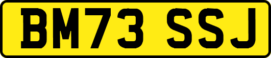 BM73SSJ