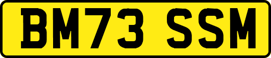 BM73SSM