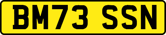 BM73SSN