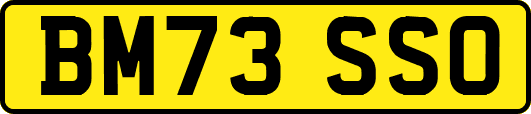 BM73SSO