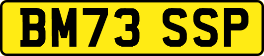 BM73SSP