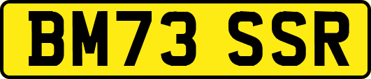 BM73SSR
