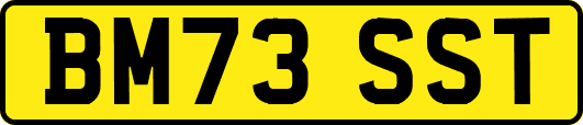 BM73SST