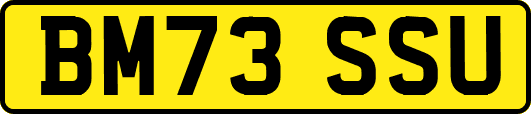 BM73SSU