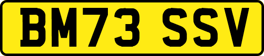 BM73SSV